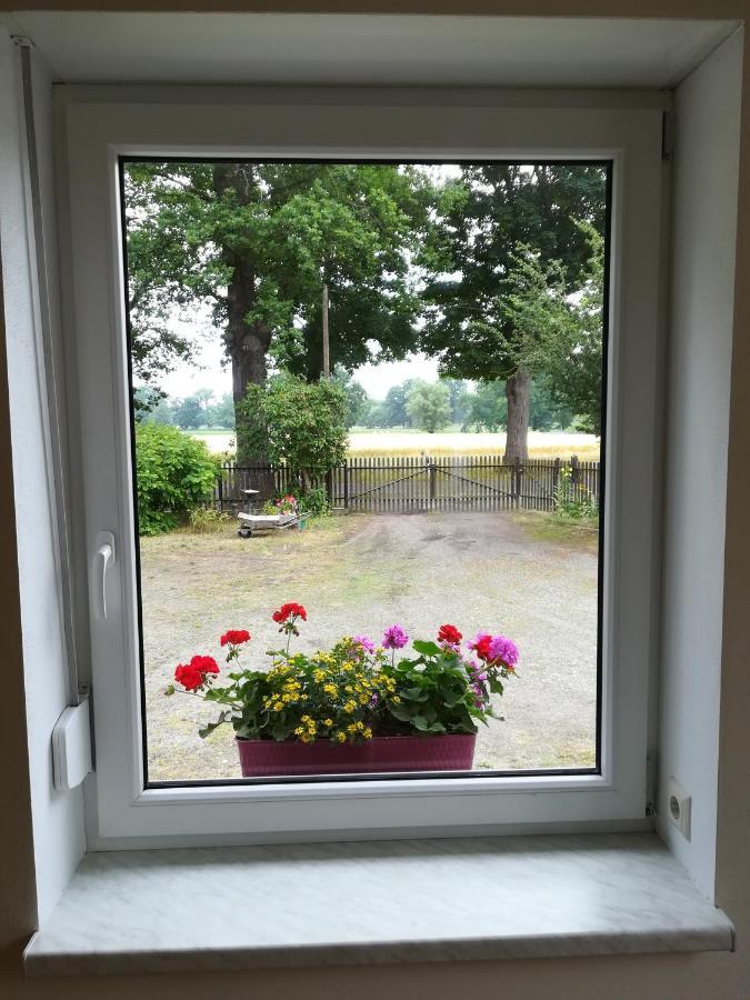 Ferienwohnung Bittner Klitten Exterior photo